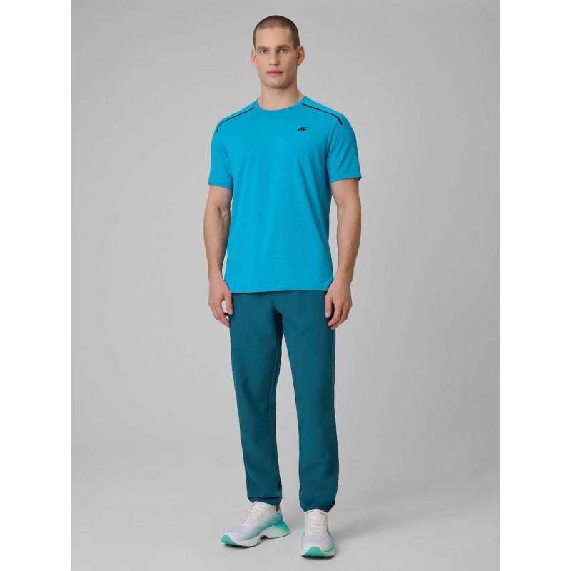 Men's quick-drying training pants 4F 4FRSS26TFTRM1411-30S