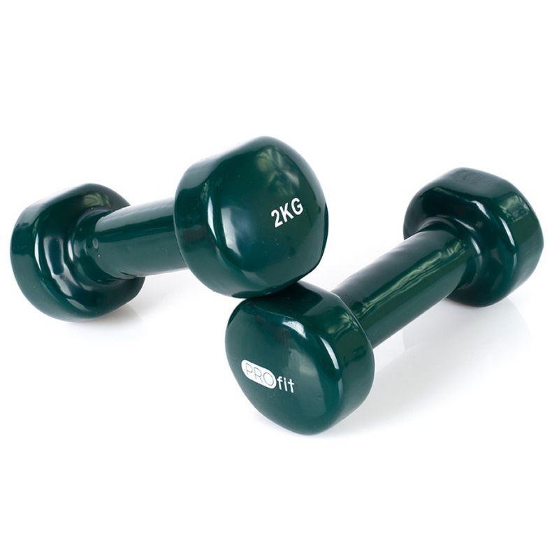 Vinyl dumbbell PROfit 0.5kg DK 4102