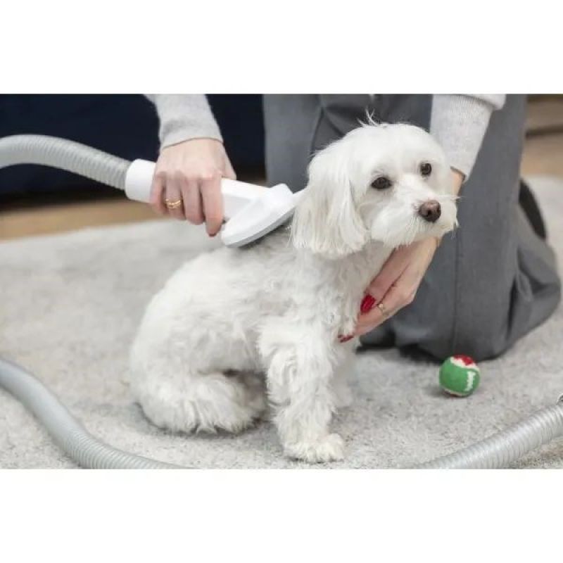 MPM MOD-1000 device for home care of dogs and cats AGD - Produkty/Odkurzacze Your Sports Performance
