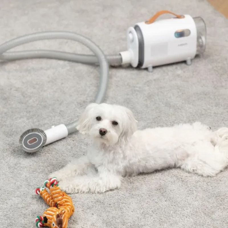 MPM MOD-1000 device for home care of dogs and cats AGD - Produkty/Odkurzacze Your Sports Performance