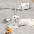 MPM MOD-1000 device for home care of dogs and cats AGD - Produkty/Odkurzacze Your Sports Performance