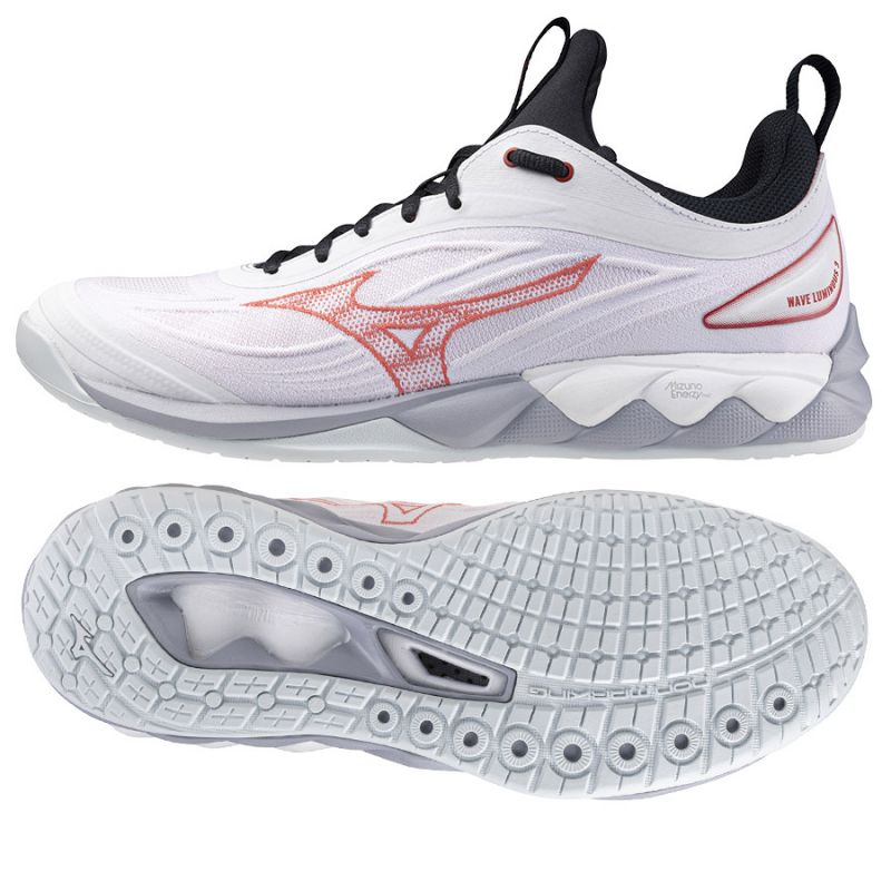 Mizuno WAVE LUMINOUS 3 M V1GA242021 shoes Footwear/Volleyball/Men Mizuno