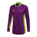 Sweatshirt adidas AdiPro 20 GK M FI4194 Clothing/Football Adidas