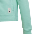 Tracksuit adidas Cotton Hoodie TS Jr. HR5840 Clothing/Lifestyle Adidas