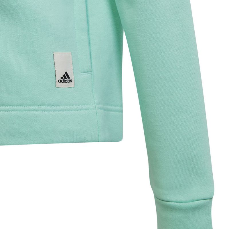 Tracksuit adidas Cotton Hoodie TS Jr. HR5840 Clothing/Lifestyle Adidas