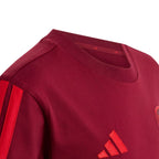 adidas Arsenal FC Burgundy Kids' T-Shirt KG5137