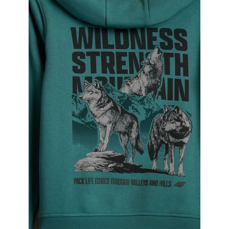Boy's regular hooded sweatshirt 4F 4FJKAW26TSWSM3153-46S