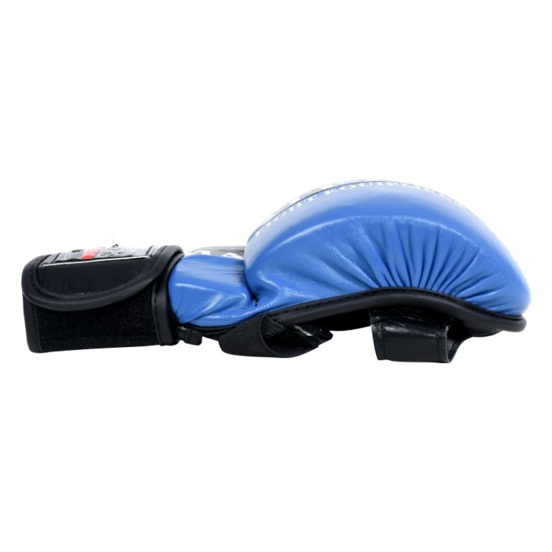 Masters MMA gloves GFS-10 0110-02M Accessories/Gloves Your Sports Performance