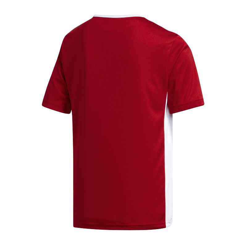 adidas Entrada 18 Jr CF1050 T-shirt adidas