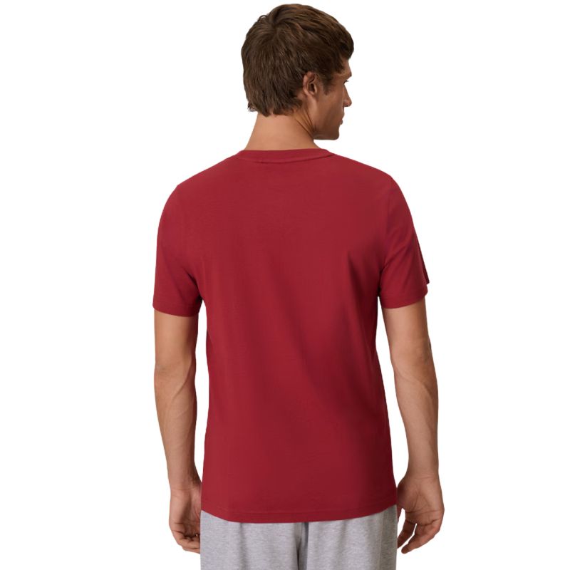Men’s T-Shirt 4F M3558 Dark Red 4FWAW26TTSHM3558 61S