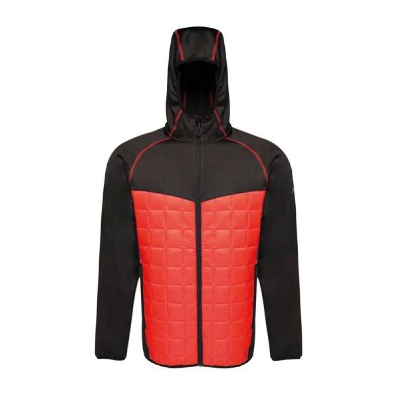 Regatta Modular Thermal M TRA517 92F jacket Clothing/Outdoor Your Sports Performance