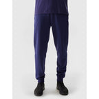Pants 4F M 4FWSS24TTROM603 31S Clothing/Lifestyle/Trousers, shorts/4F 4F
