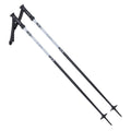 ALPINE SKI II poles In preparation Your Sports Performance