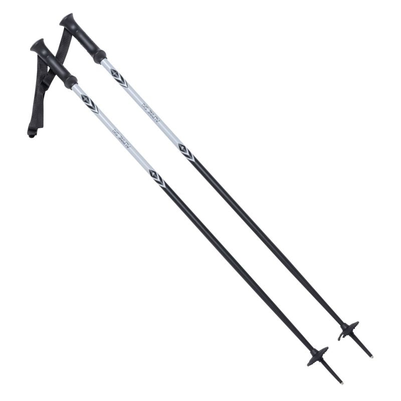 ALPINE SKI II poles In preparation Your Sports Performance