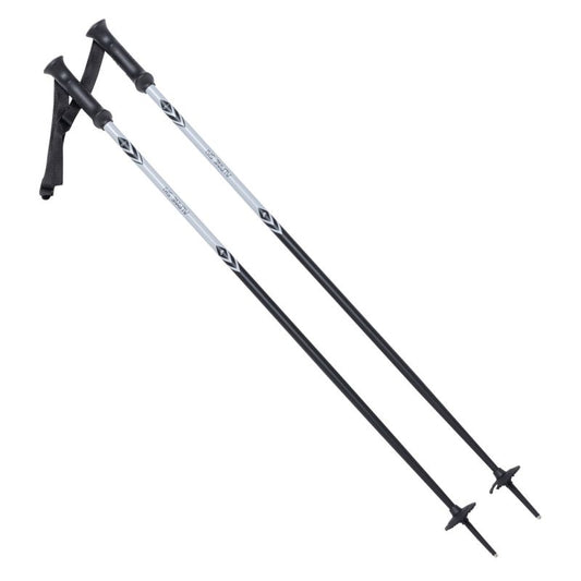 ALPINE SKI II poles In preparation Your Sports Performance