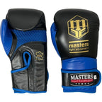 RBT-PRO-TRAIN Boxing Gloves 12 oz MASTERS FIGHT EQUIPMENT