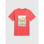 Men's regular printed T-shirt 4F 4FRSS26TTSHM4304-63S 4f