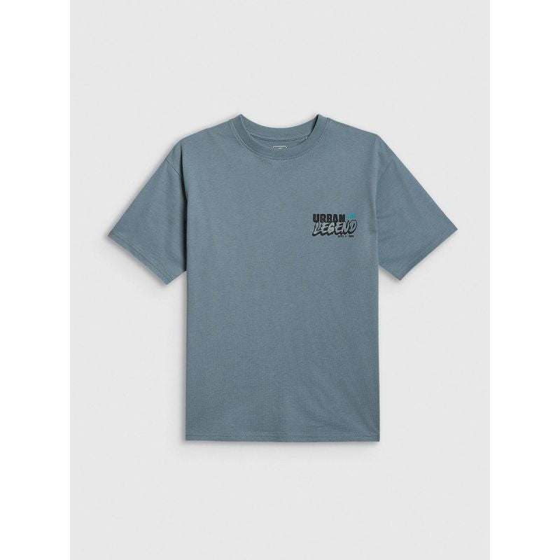 Boy's cotton T-shirt 4F 4FJRSS26TTSHM4175-46S
