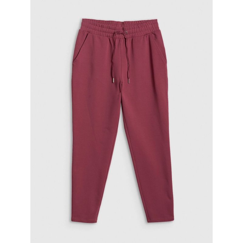 Women's sweatpants 4F 4FRSS26TTROF1851-60S 4f