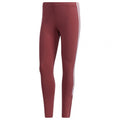 Pants leggings adidas W New A 78 TIG W GD9037 Clothing/Lifestyle/Trousers, shorts Adidas