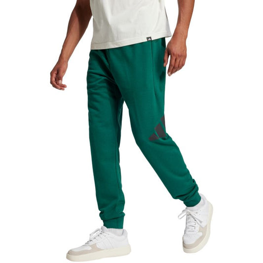 adidas Essentials Big Logo French Terry Pants M JE8971 Clothing/Lifestyle/Trousers, shorts Adidas