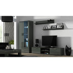 SOHO S6 2D2S display cabinet, grey/grey gloss Bufety i witryny/Bufety i witryny na drewnianej podstawie Your Sports Performance