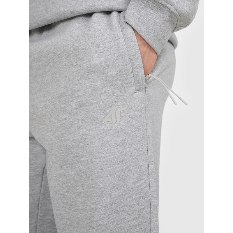 Men's jogger sweatpants 4F 4FRAW25TTROM1832-27M 4f