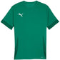 Puma teamGoal Matchday Jersey M 705747 05 Clothing/Football Your Sports Performance
