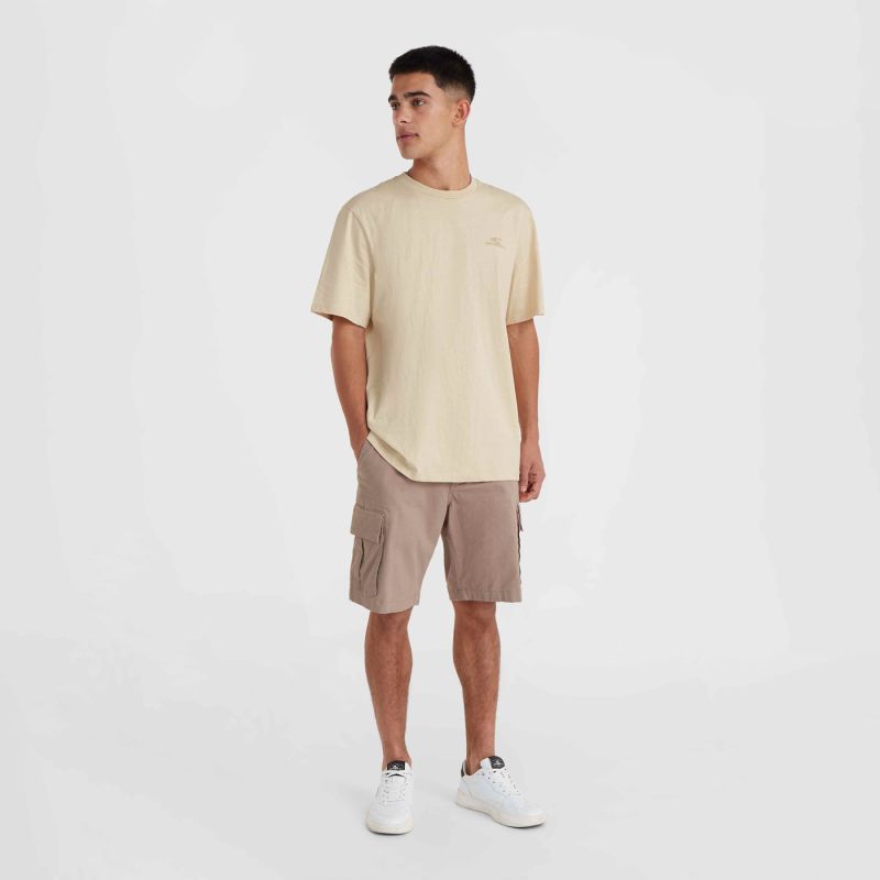 O'Neill Small Logo T-Shirt M 92800613999 ONeill
