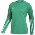 Nike Dri-Fit Park V Stadium Women's Jersey Green HV8316 324 To be categorized Your Sports Performance