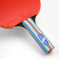 Giant Dragon 6★ N8062 Table Tennis Racket Accessories/Rackets and accessories Your Sports Performance