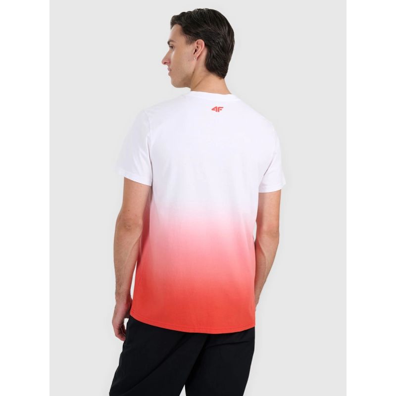 Men's regular printed T-shirt 4F 4FRAW25TTSHM3226-62S 4f