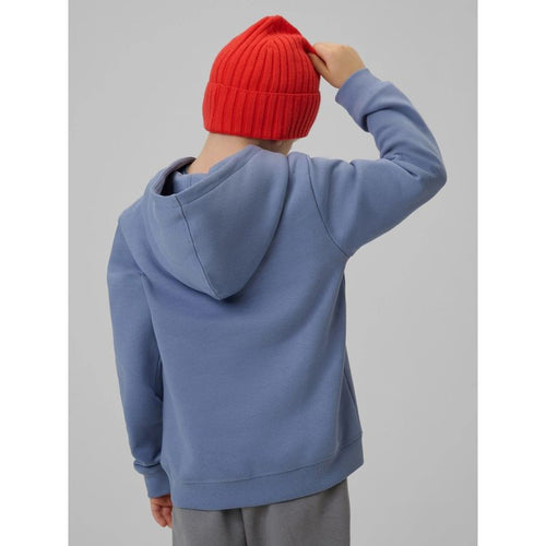 Boy's regular hooded sweatshirt 4F 4FJRSS26TSWSM2637-32S 4f