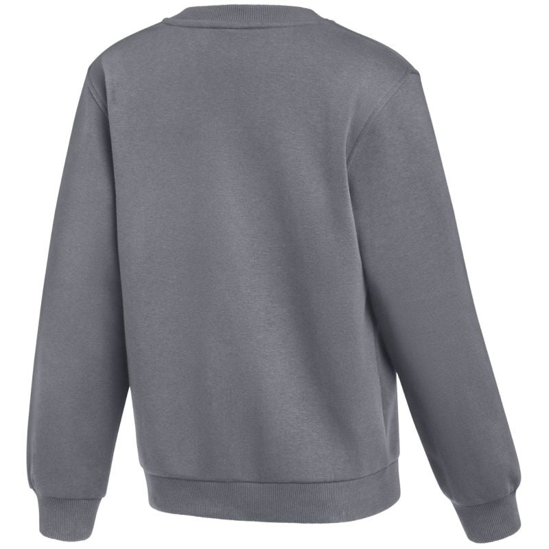 Nike Park 26 Fleece Crew Kids' Sweatshirt Gray IB1188 071 To be categorized Your Sports Performance
