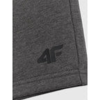 Men's sweatpants 4F 4FRSS26TSHOM0970-23M 4f