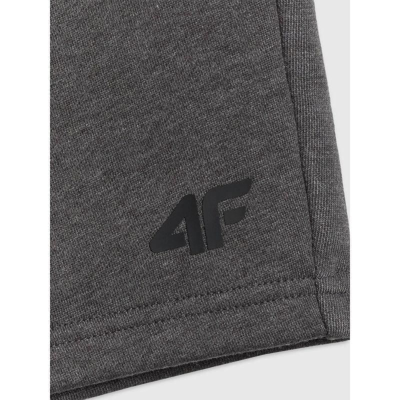 Men's sweatpants 4F 4FRSS26TSHOM0970-23M 4f