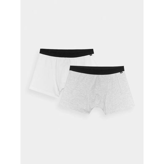 Men's boxer shorts (2-pack) 4F 4FWMM00UBXSM059-90S *Kategoria tymczasowa Your Sports Performance