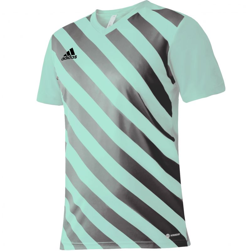 T-shirt adidas Entrada 22 Graphic Jersey Jr HF0127 Clothing/Football Adidas