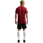 Nike Dri-Fit Park VIII Men's T-Shirt Burgundy HV8173 677 To be categorized Your Sports Performance