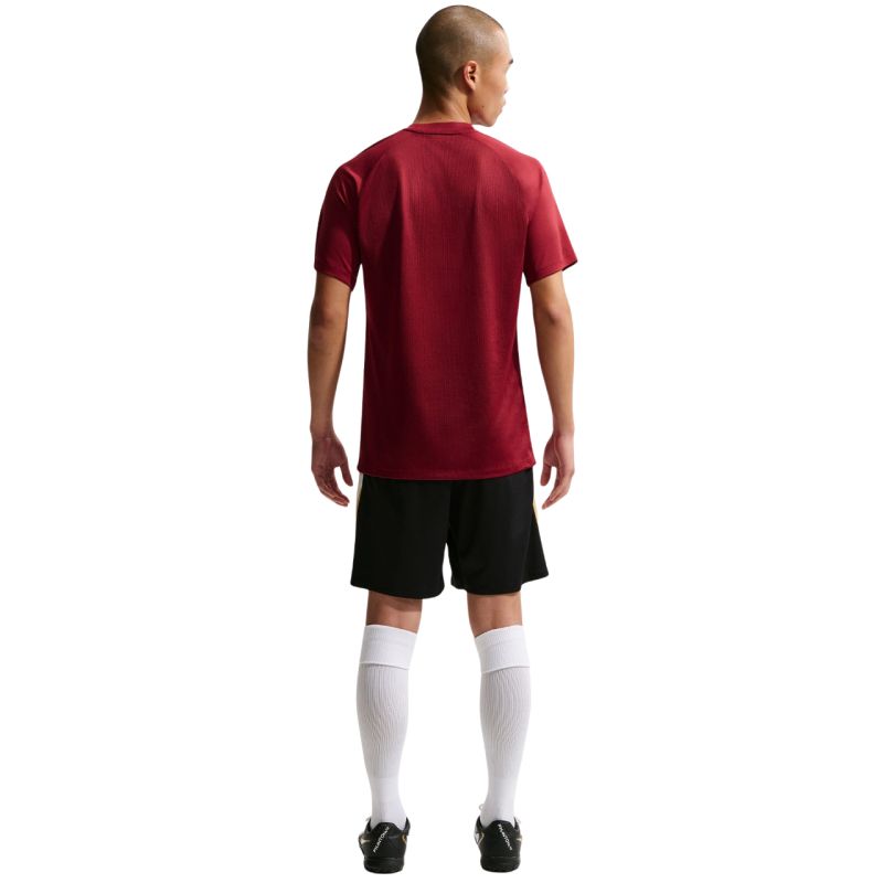 Nike Dri-Fit Park VIII Men's T-Shirt Burgundy HV8173 677 To be categorized Your Sports Performance