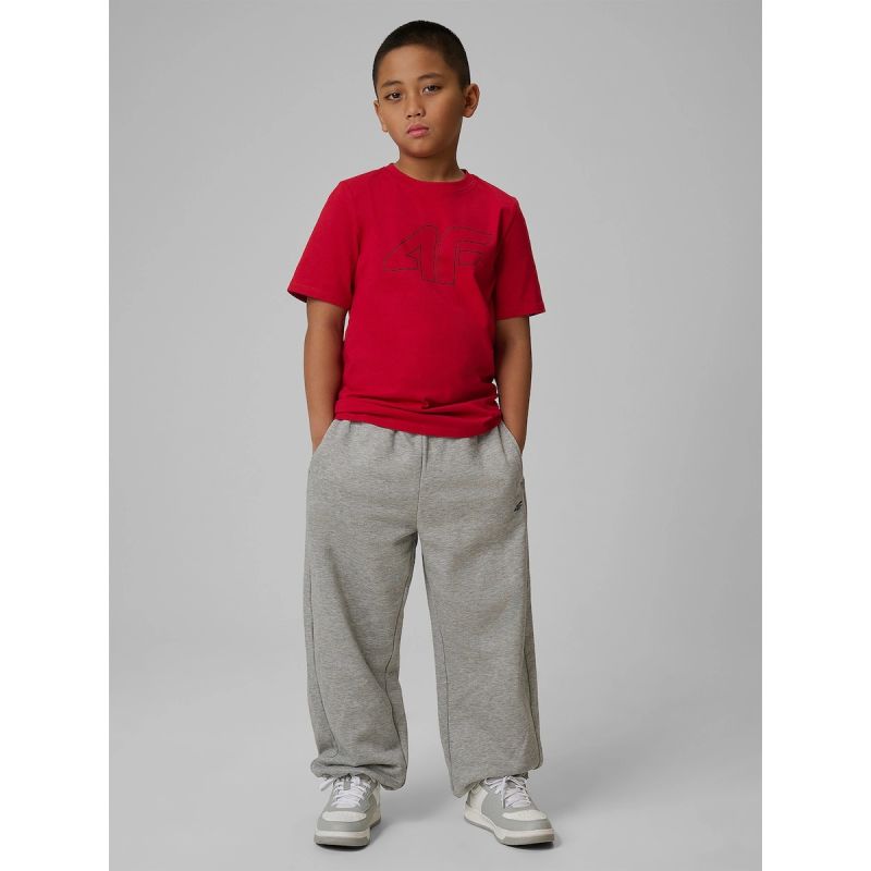 Boy's regular printed T-shirt 4F 4FJRSS26TTSHM3599-10S 4f