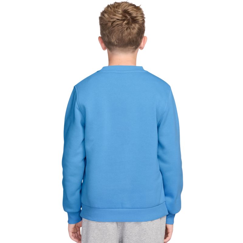 Nike Sportswear Club Fleece Kids' Sweatshirt Light Blue FD3006 497