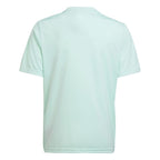 Adidas Team Icon 23 Jr T-shirt IC1255 Clothing/Football Adidas