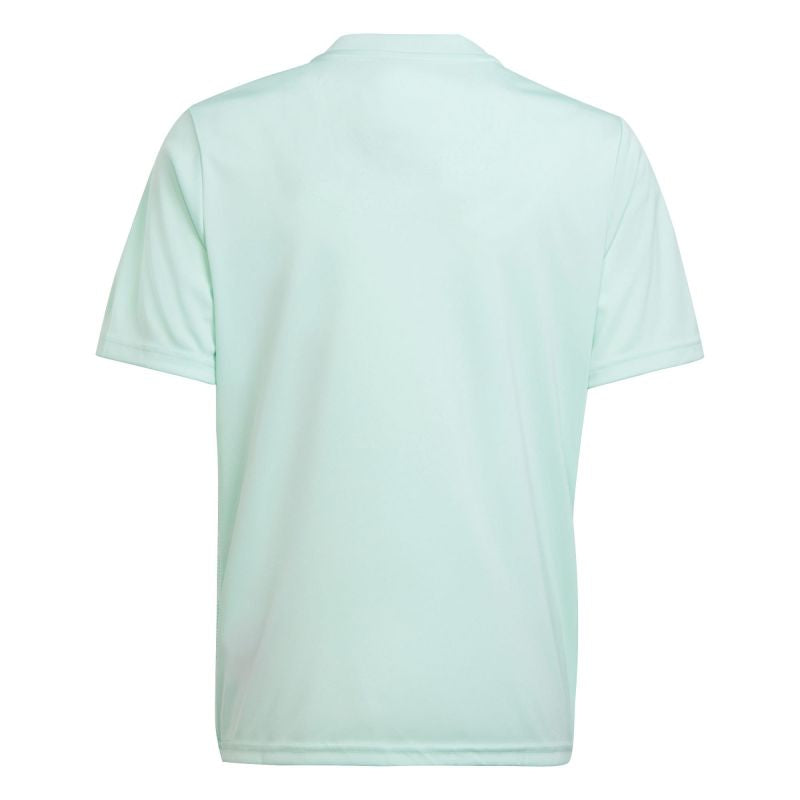 Adidas Team Icon 23 Jr T-shirt IC1255 Clothing/Football Adidas