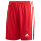 Adidas Squadra 21 Short Youth Jr GN5761 Clothing/Football Adidas