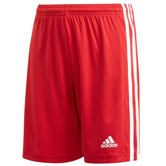 Adidas Squadra 21 Short Youth Jr GN5761 Clothing/Football Adidas