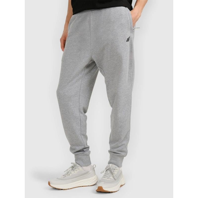 Men's jogger sweatpants 4F 4FRMM00TTROM1624-27M *Kategoria tymczasowa Your Sports Performance