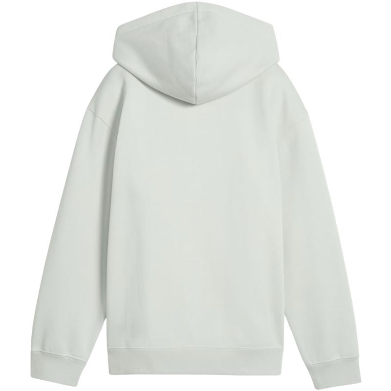 Puma ESS Centered Cat Logo Relaxed Hoodie for Kids, Mint, 692973 29