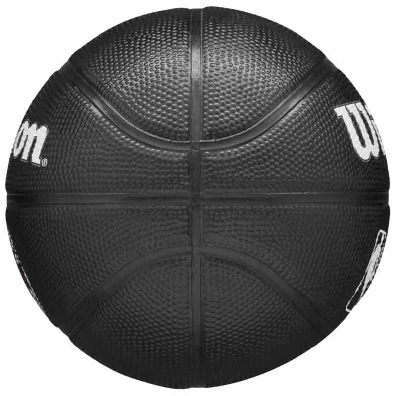 Wilson Team Tribute Toronto Raptors Mini Ball WZ4017608XB basketball Accessories/Balls/Basketball Your Sports Performance