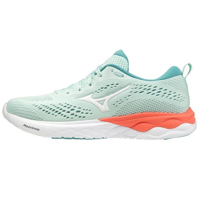 Mizuno Wave Revolt 2 W shoes J1GD218101 Footwear/Running/Women Mizuno